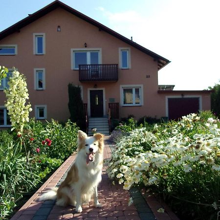 Agroturystyka U Basi Wola Kalinowska Kültér fotó